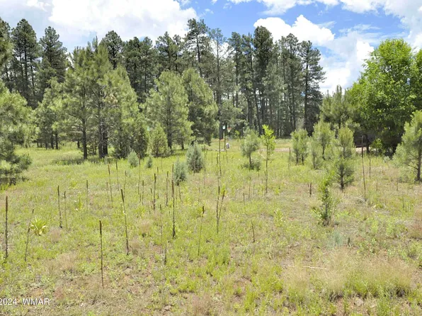 35V E Rose Marie Ct, Pinetop, AZ 85935