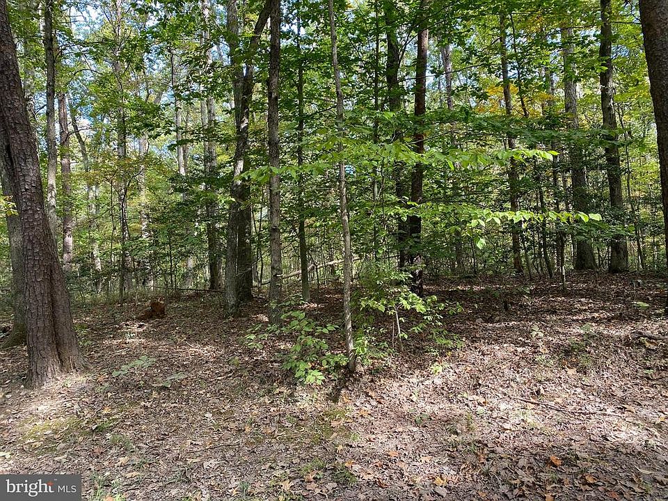 1st image of Forest Walk Dr