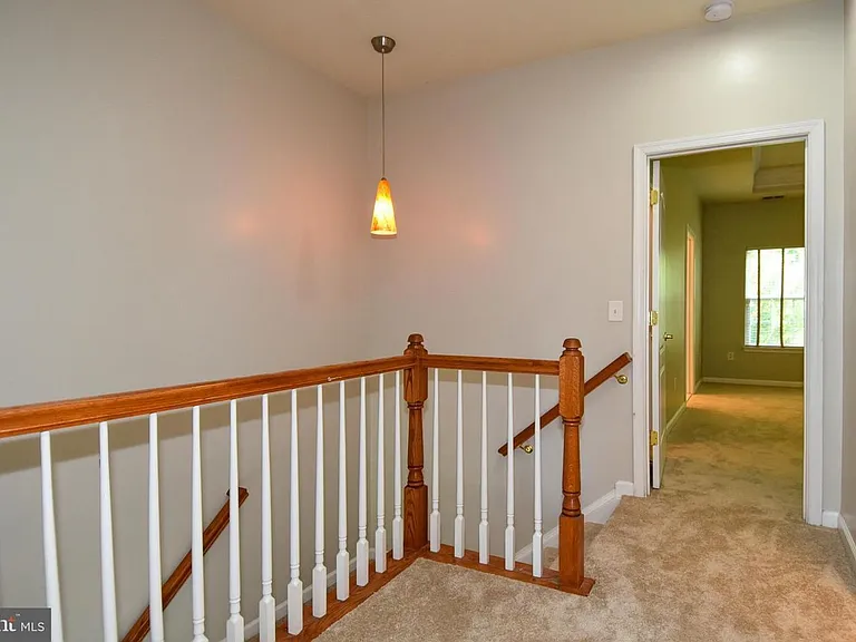 7810 Locust Leaf Ln — Photo 38
