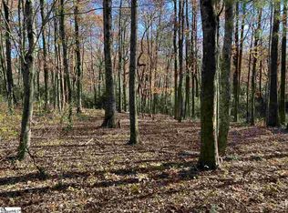 246 Snap Dragon Way, Landrum, SC 29356