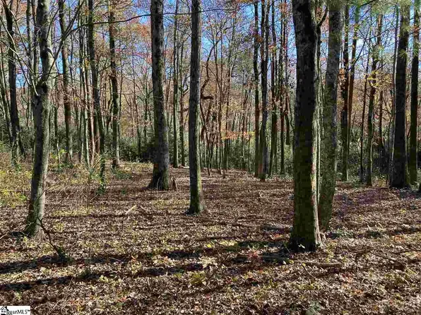 246 Snap Dragon Way, Landrum, SC 29356