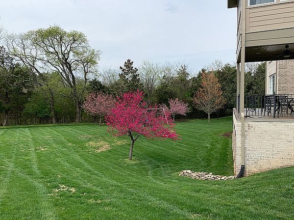 4th image of 604 Gary Bowman Ct