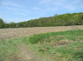 0 State Rd LOT 1, Boston, NY 14025