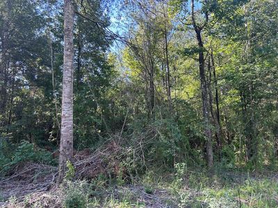LOT-10B Mallard Trl, Summit, MS, 39666