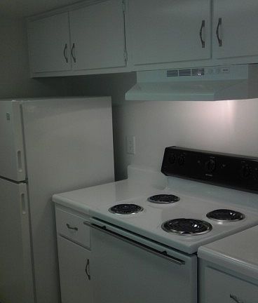 Jonathan Kitchen