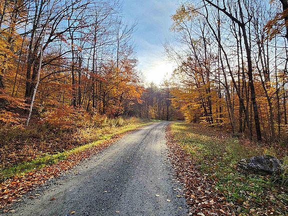 4th image of 2-62 Goshawk Road