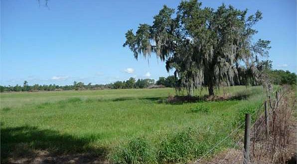2nd image of 6081 Eloise Loop Rd