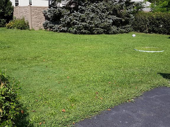 Back yard (space for garden)