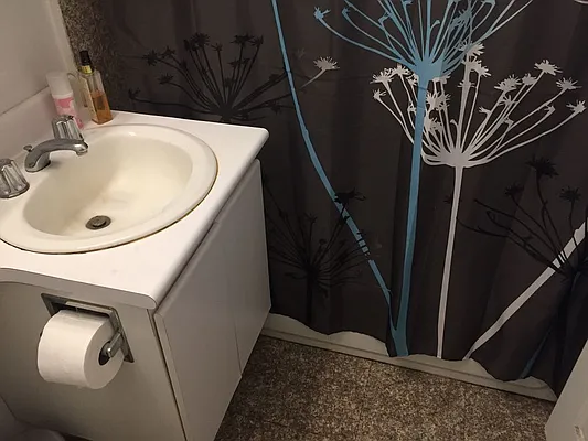 Rented by Sky Management | media 29