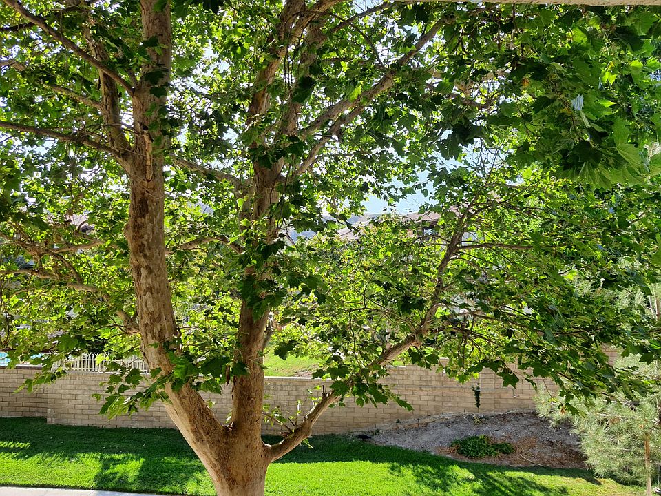 1st image of 27979 Sarabande Ln