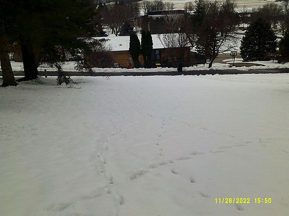 5th image of 1185 Arbor Ln