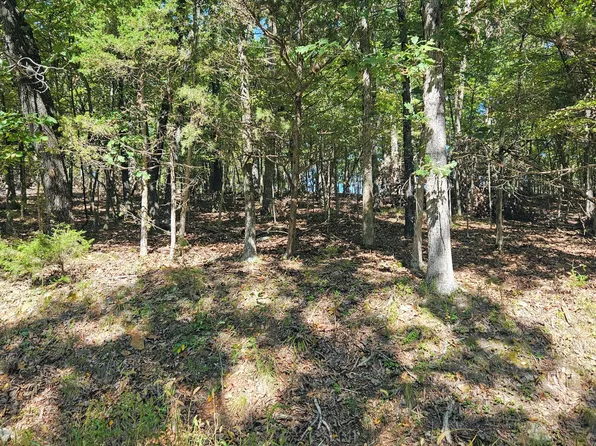 000 Tbd Brookside Circle, Theodosia, MO 65761