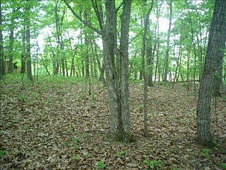 3rd image of 34 Marquette Ter