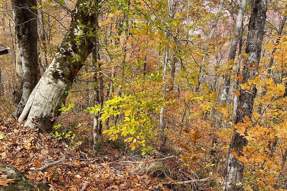 1st image of 7015 Black Bear Trl