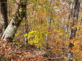 7015 Black Bear Trl, Hiawassee, GA 30546