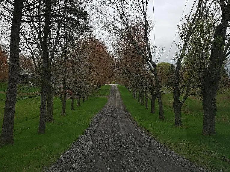 4535 Route 9G — Photo 9