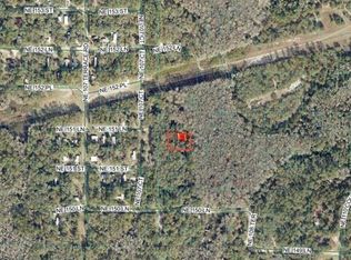 10770 NE 151st St LOT 3, Fort Mc Coy, FL 32134