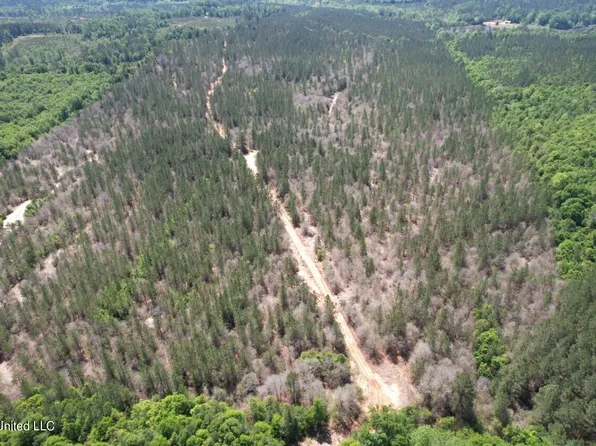 County Road 1115, Vossburg, MS 39366