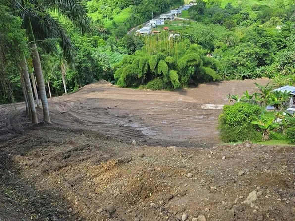 (undisclosed Address), Naranjito, PR 00719