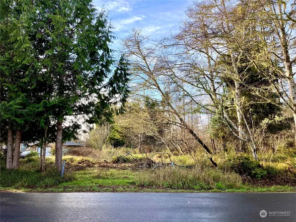 691 Duck Lake Drive NE, Ocean Shores, WA 98569