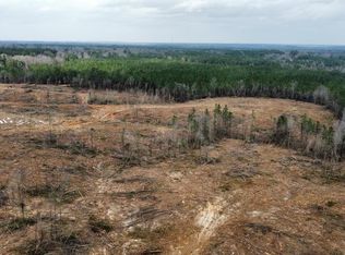 6 Anse Reed Rd, Mendenhall, MS 39114