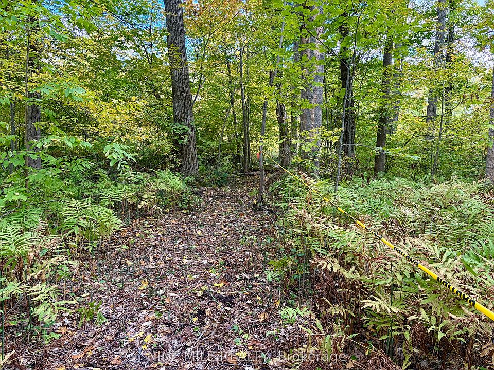 1st image of 3159 Switch Rd