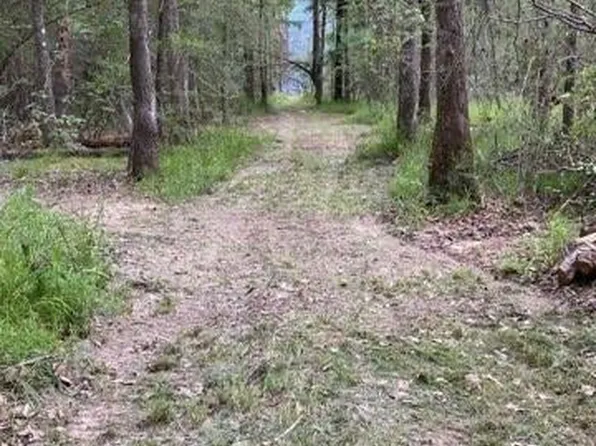 Brunett Rd, Loranger, LA 70446
