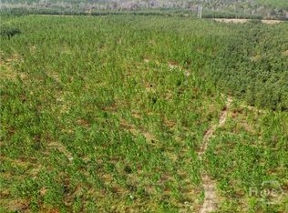 0 State Highway 297 Tracts 2 #3-4, Soperton, GA 30457