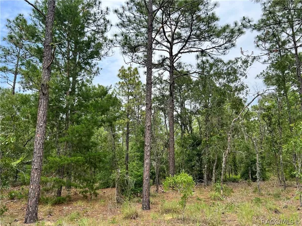 0 SW 71st Lane Rd, Ocala, FL 34481