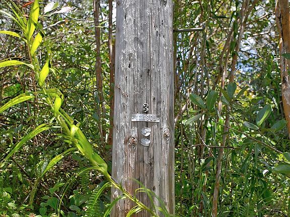 4th image of Napua St Lot 31
