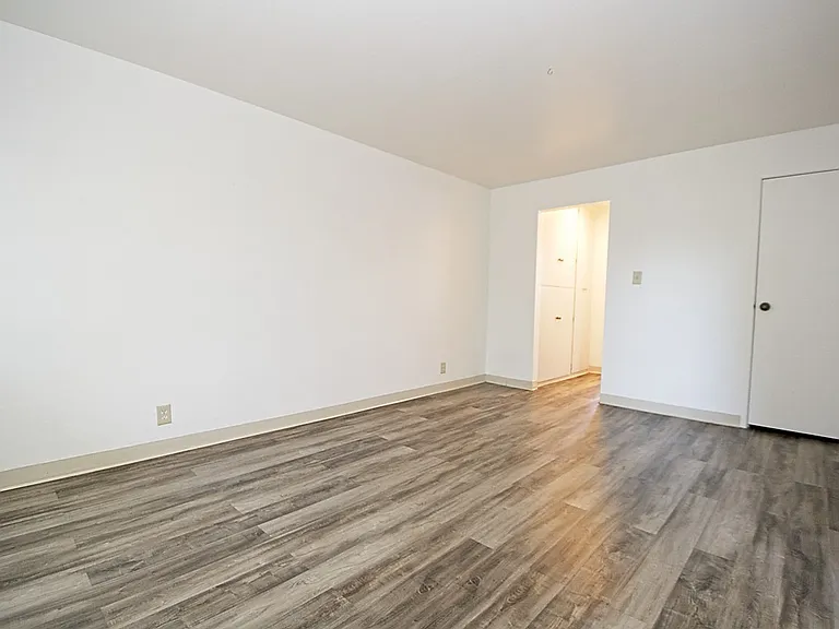 1036 Bell St #5 — Photo 7