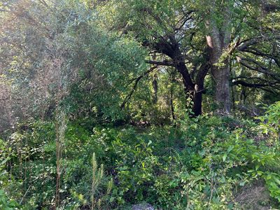 Black Ave, Bamberg, SC, 29003