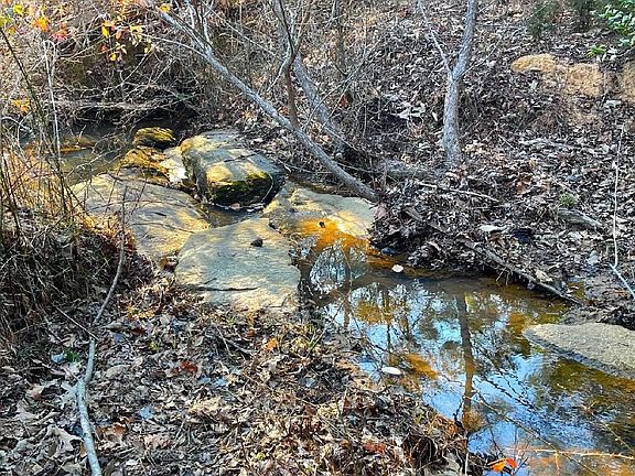 2nd image of 2536 Georgetown Rd