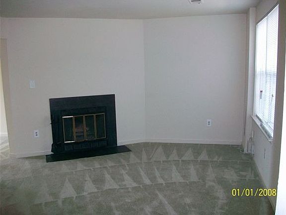 Wood Burning Fireplace