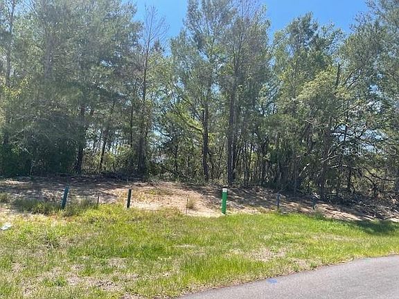 4th image of 1342 HOMOSASSA DRIVE LOT 11