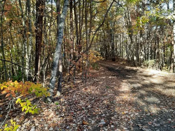 0 Dog Leg Rd, Whittier, NC 28789