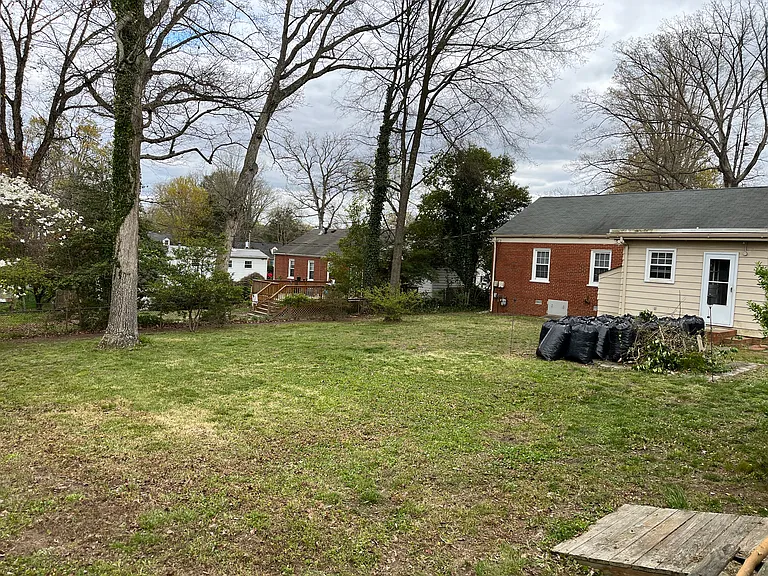 Back yard