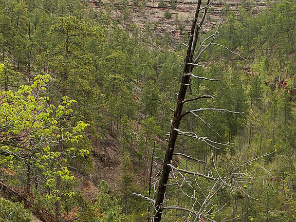 5th image of Tbd Hwy #16
