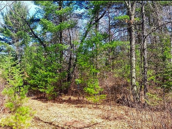 3rd image of 2 Lodge Lake Rd
