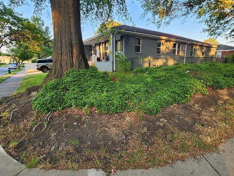 1112 Rockingham St — Photo 4