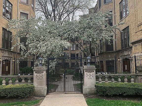 3rd image of 1227 W Lunt Ave APT 2B