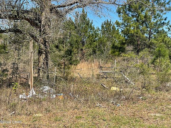 5th image of 12123 Harrington Rd
