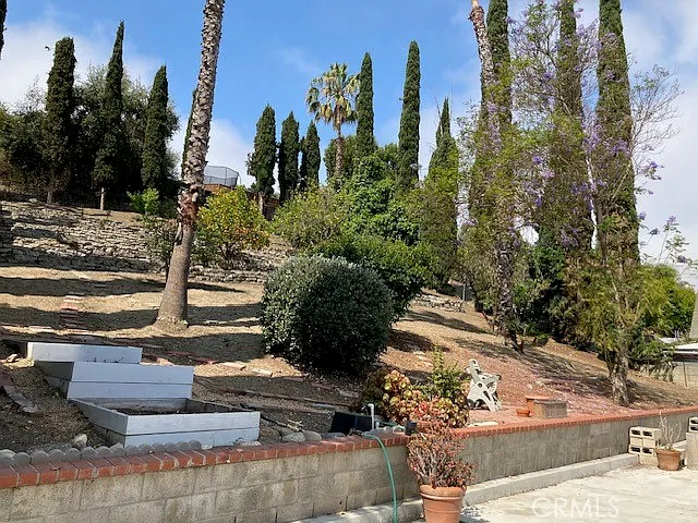 25042 Armagosa Dr — Photo 20