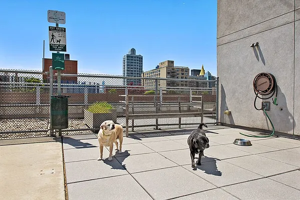 Sold by Triplemint | media 11