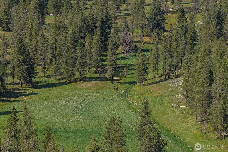 2nd image of 32312 North Pine Creek Road S