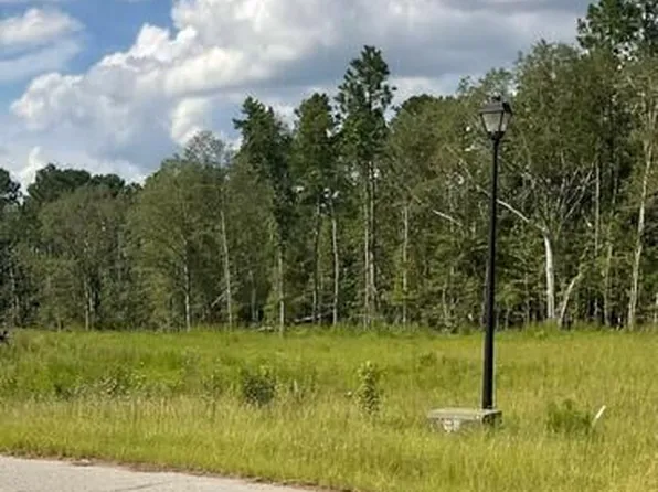 0 Colt Ct, Vidalia, GA 30474