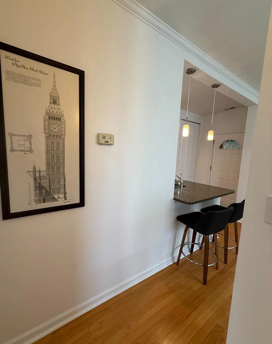 1733 West Balmoral Avenue #3A — Photo 3