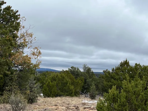 3877 Sunset Ridge Loop, Happy Jack, AZ 86024