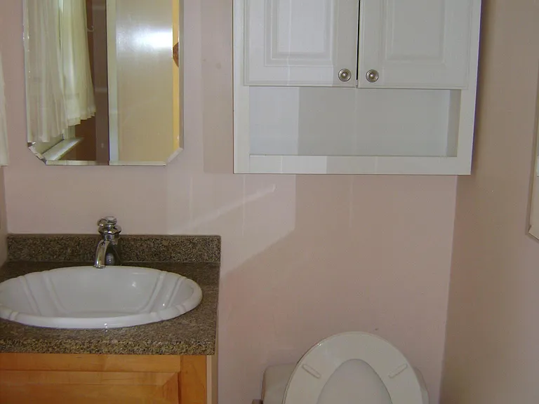 3203 Abbott Morris Ln — Photo 18
