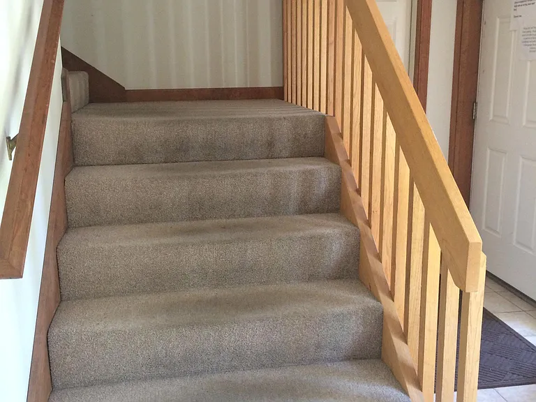 203 Palm St — Photo 16